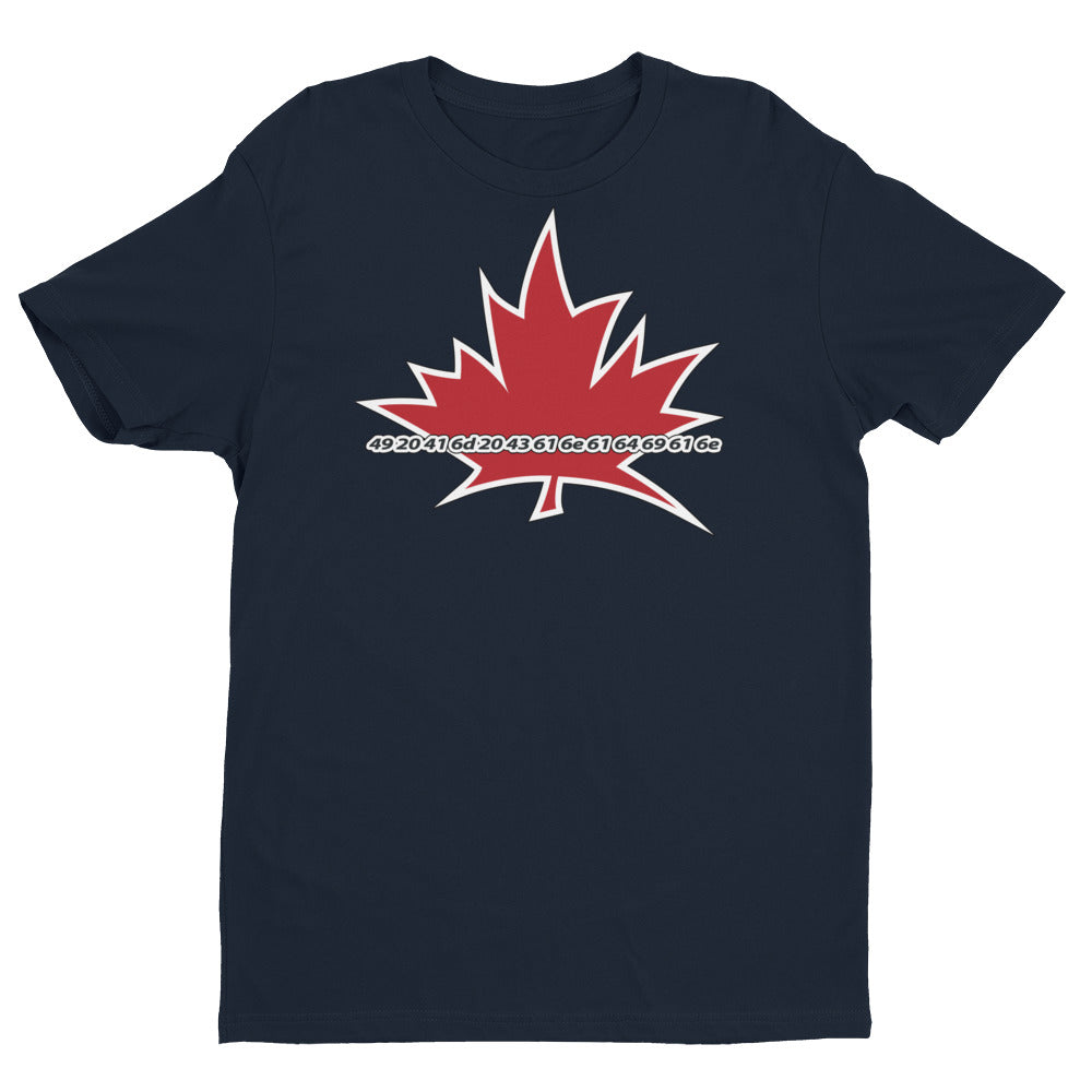 Next Level Men's Premium Fitted Crew Neck T-Shirt - Royal Blue, Large | 100% Combed Cotton